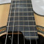 Takamine TH-90 Hirade.