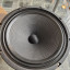 Colección conos Scumback variados de 12"