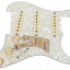 Golpeador COMPLETO Fender Stratocaster