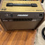 Fishman Loudbox mini charge