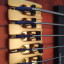o Cambio: Bajo Schecter Stiletto FL Studio 5 Cuerdas Freetless