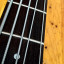 Squier Precision Bass Special  5 cuerdas  Standard