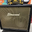 Pantalla 2x12 Elmwood v30