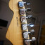 Fender Stratocaster Professional Americana 2018