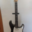 Ibanez Roadstar, vendo o cambio