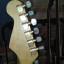 Reservada O  Fender elite gold 1983 fotos actualizadas
