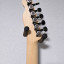 Fender Telecaster Boxer HH Inca Silver Japan