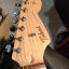 o cambio Tokai pastillas fender