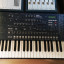 Korg MS2000