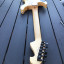 Washburn Nuno Bettencourt  rebajada