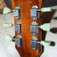 Tokai Ls196gt Premium