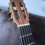 Guitarra clásica de José A. Fuentes (Modelo MADAGASCAR)