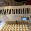 Waldorf blofeld keyboard + Flightcase