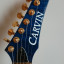 Carvin DC-300