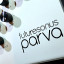 Futuresonus Parva (VENDIDO)