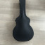 Estuche rígido Taylor 214: Guitarra acústica. Funda