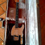 Nueva Mojo Guitars Telecaster Custom Palorosa, no Fender.