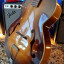 Archtop Silvertone 619 (VIDEO)