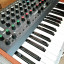 MFB Dominion 1 Synth