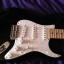 Fender stratocaster Eric Clapton signature año 2005 impecable