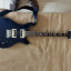 PRS SE 24 Standard TB