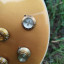 Gibson Les Paul Standard 50s Goldtop con Greenybuckers