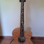 Bajo Acústico Fretless Michael Kelly DF5-FL-QM Dragonfly 5 String