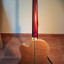 Bajo Acústico Fretless Michael Kelly DF5-FL-QM Dragonfly 5 String
