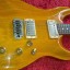 (Cambio) Guitarra Fret King Elan 60 (rebajada y gastos incluidos)