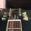 Gibson Les Paul standard plus 1995