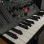 SH-01 + Teclado Roland Boutique