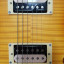 Guitarra eléctrica ESP LTD EC-1000 TFM