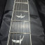 PRS SE Mark Holcomb ( Reservada )