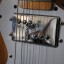 Fender Telecaster Thinline 72 JAPAN de 1.996 ( casi 20 añitos)