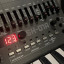 SH-01 + Teclado Roland Boutique