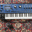 Novation mininova sintetizador