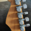 Cambio Fender Stratocaster American plus '95 Texas Special. Oferton 1275