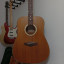Tanglewood tw28 cln evolution
