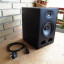 Focal Alpha 50