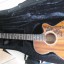 REBAJA MOMENTANEA -Tanglewood Sundance TW47-E Electro Acoustic!