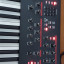 Dave Smith Prophet 12 Impecable