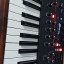 Dave Smith Prophet 12 Impecable