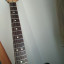 Fender Stratocaster MIM con texas special
