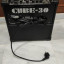 Roland Cube 30
