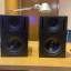 Monitores de estudio Genelec 1030A
