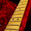 FENDER Stratocaster American Select
