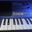 Roland EG 101