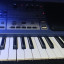 Roland EG 101