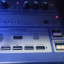 Roland EG 101