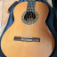 Alhambra 5P con previo Fishman E8